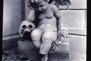 cherub